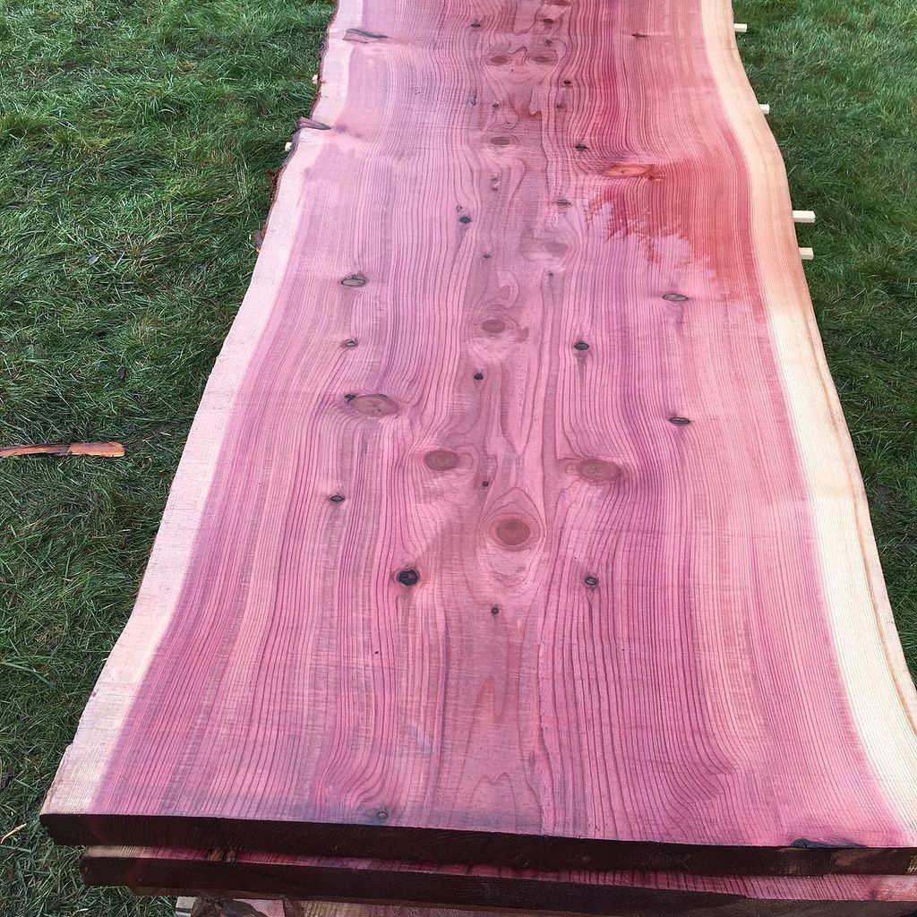 BlaiseBrogan's tweet photo. Wow no filter on this redwood!!! #alaskanmill #chainsawmill #arblife #redwood #futuretable… https://t.co/KMyini2ZJP https://t.co/5CfNdbXrnu