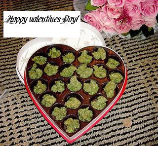 Finest_420's tweet photo. https://t.co/tDjJ9cCzbV