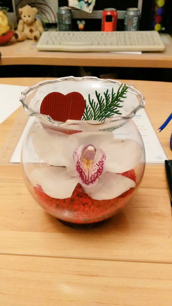 EEvasrsd22's tweet photo. Estoy soltera pero tengo San Valentín igual. #FelizSanValentin #Solterosalpoder https://t.co/AsjmOiCnu2