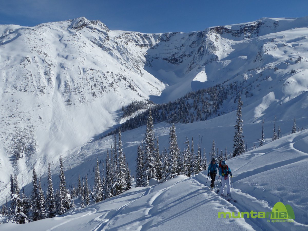 Muntania's tweet photo. #RogerPass, #BritishColumbia. ¡Gracias por acompañarnos! #esquidemontaña #rocosascanadienses #Canadá #skimo https://t.co/AswI9Lcpnj