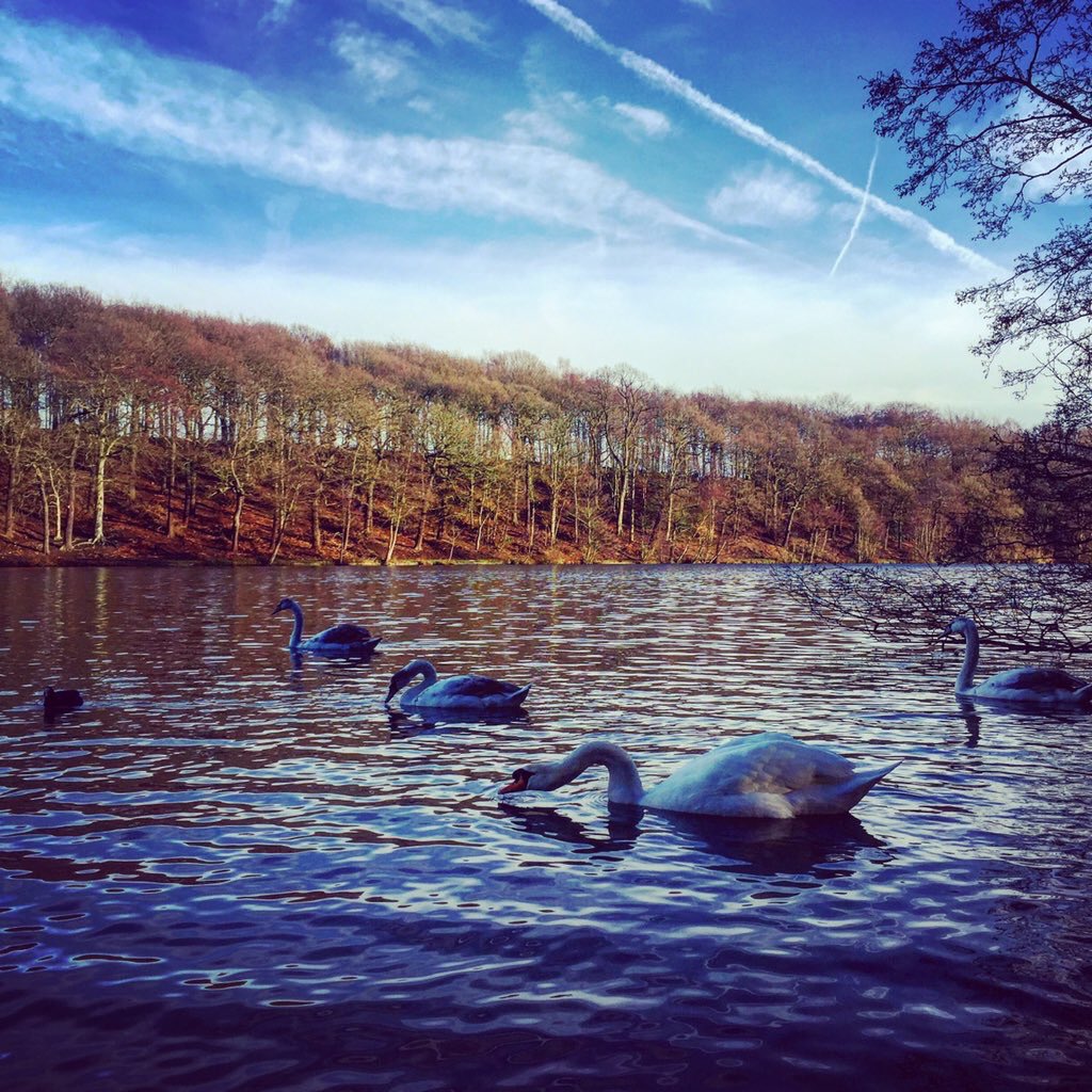 Expwakefield's tweet photo. Fabulous Newmillerdam Country Park photos from @heppinstall18 #Wakefield @Welcome2Yorks https://t.co/UfxVyJKTqr