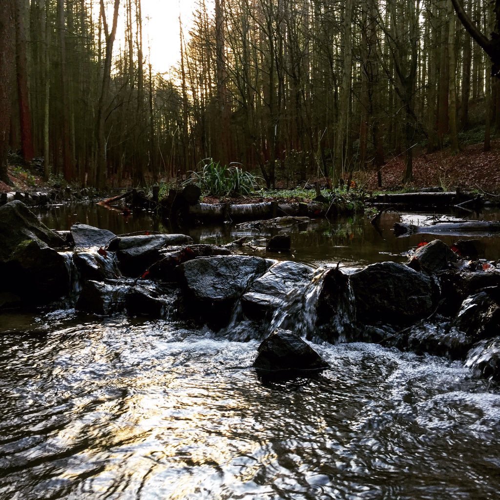 Expwakefield's tweet photo. Fabulous Newmillerdam Country Park photos from @heppinstall18 #Wakefield @Welcome2Yorks https://t.co/UfxVyJKTqr