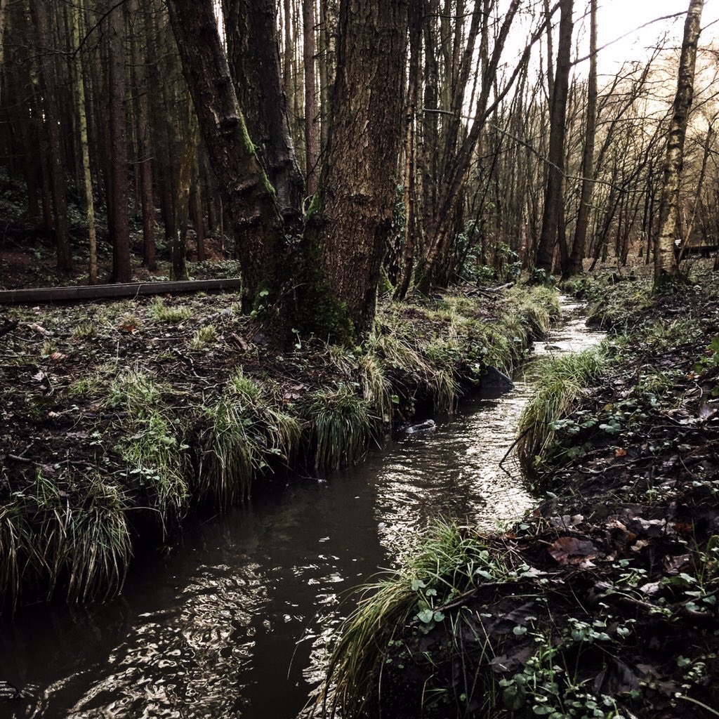Expwakefield's tweet photo. Fabulous Newmillerdam Country Park photos from @heppinstall18 #Wakefield @Welcome2Yorks https://t.co/UfxVyJKTqr
