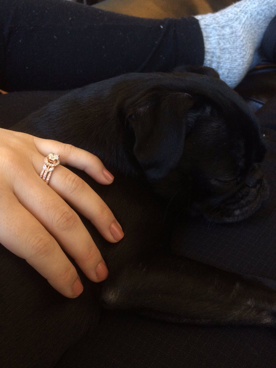 PugShimmy's tweet photo. Mazel tov mom and dad!!! ❤️✡😍💍 #engaged https://t.co/iWdVtjogth