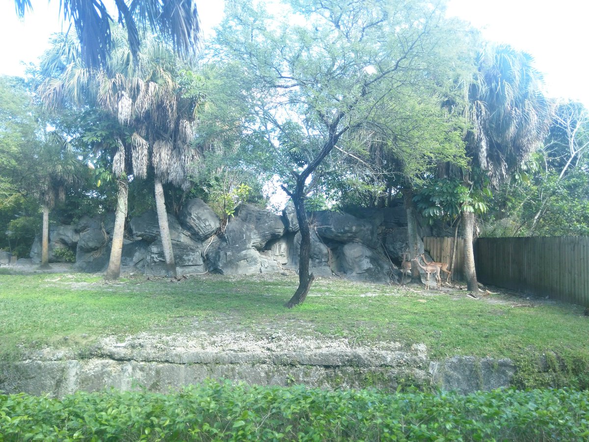 BeardedSavageGG's tweet photo. My base from Rust lol, zoo adventures with the gf #rustirl #rustgame #miamizoo https://t.co/gmX2OVz1Iq