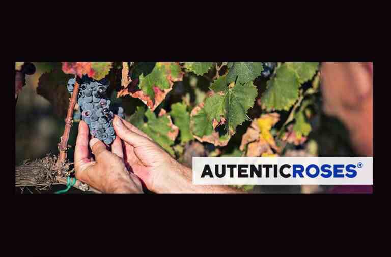 hsc_roses's tweet photo. RT @vinosdiferentes @VisitRoses El `Must´ que hará q escapes a su Ruta del #Vino #Enoturismo https://t.co/3W17xLwMkw https://t.co/Vz1M2GnCxv