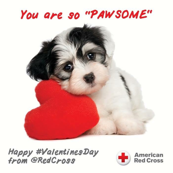 Happy #ValentinesDay, Virginia Region!
