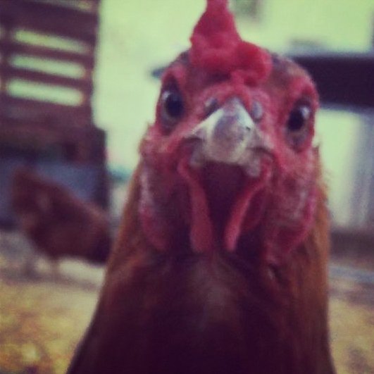 coldlamb1's tweet image. Happy Valentine's Day 💘