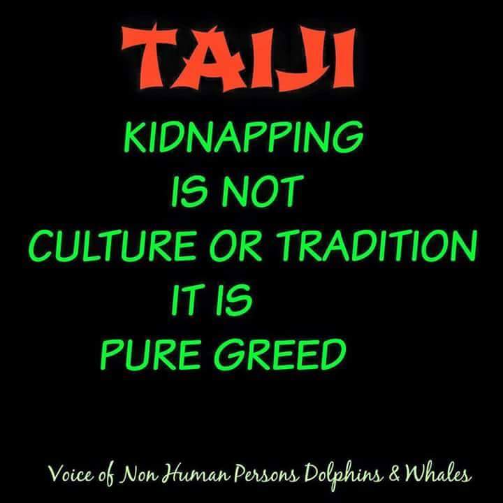 Belladonna715's tweet photo. CATS R treated better than Aquarium treats dolphins! NOT kept in cage all day BOYCOTT Awashima Marine Park Shizuoka https://t.co/ZCJ24bmC2K