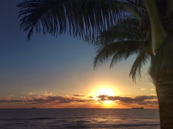 FlyFrontier's tweet photo. The perfect way to end the weekend #FtLauderdale #Florida Photo: @FtLauderdaleSun https://t.co/Yd9IB7gQQZ