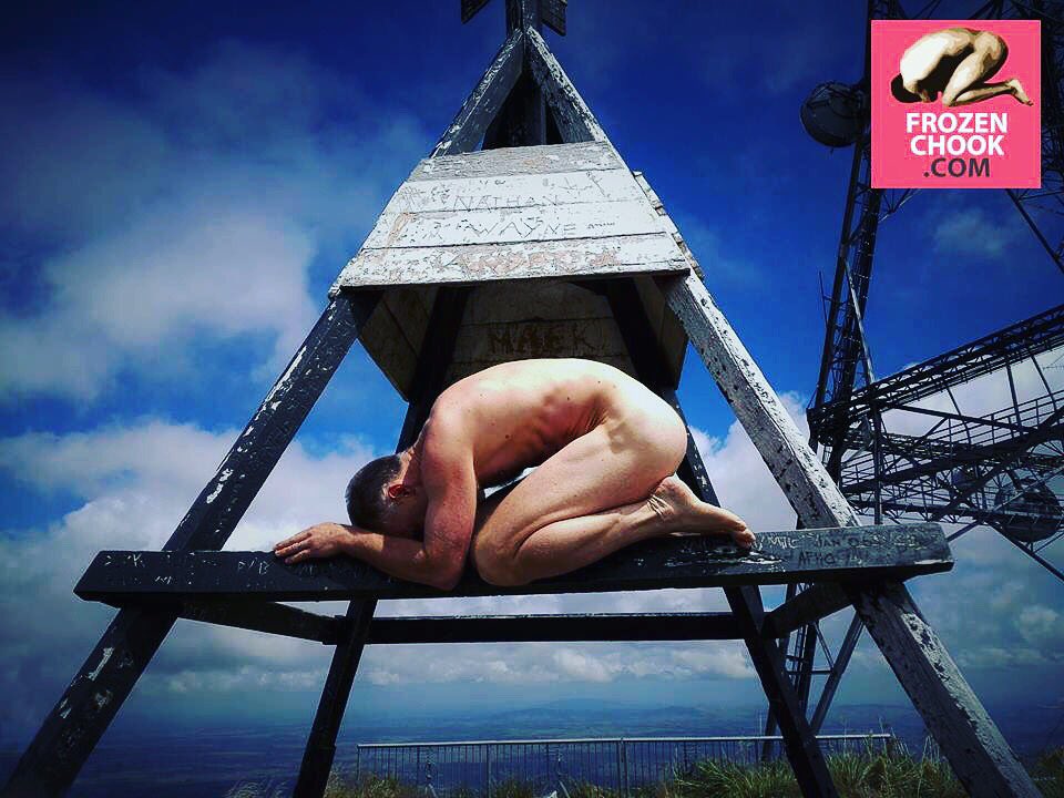FrozenChook's tweet photo. #FrozenChook right at home on a farm trig - Mt Te Aroha Summit - NZ https://t.co/hhh0mYSktq