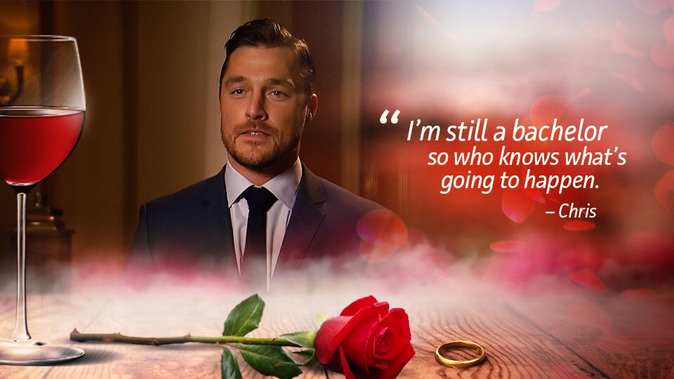 The Bachelor 20 - Anniversary Special - February 14th -  *Sleuthing - Spoilers* - Page 47 CbN6nYEXEAAr6BP