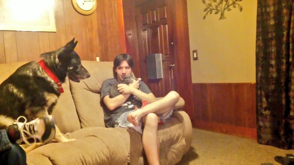 ComedyEditz's tweet image. Maybe... we shouldn't have gotten the cat