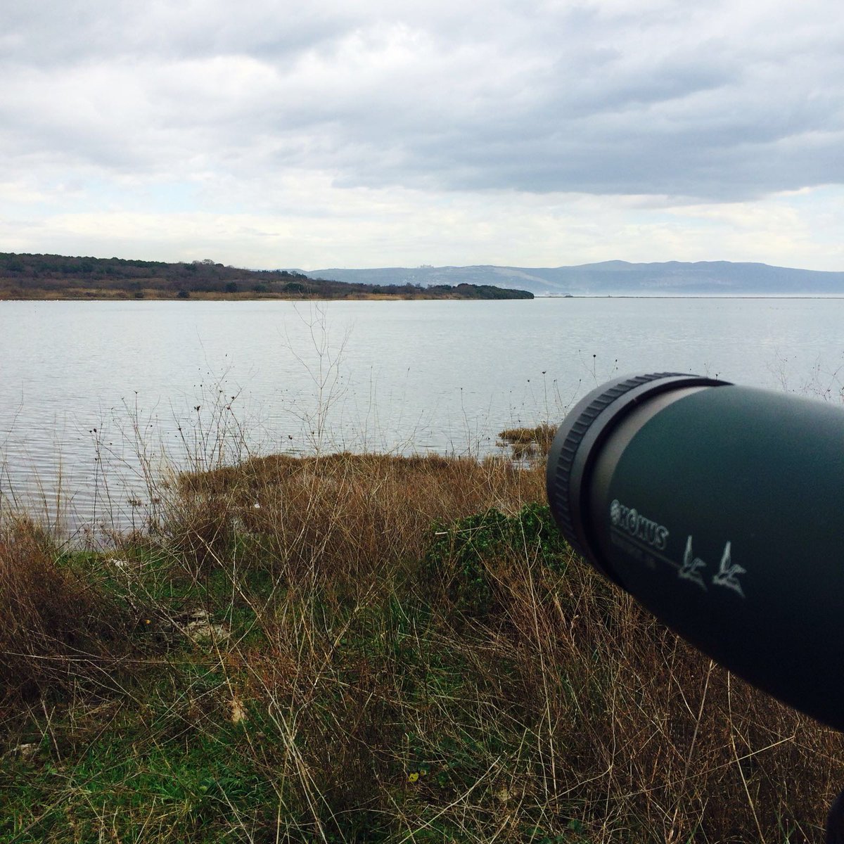 Bu gözlem gezisinde bildiklerimizi paylaşıp, alanların durumlarını konuşup, 50den fazla tür gözlemledik ve eğlendik