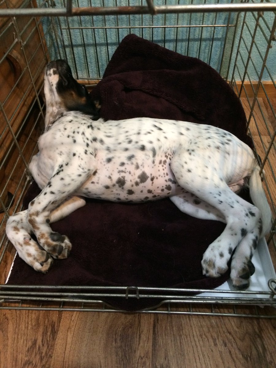 Obviously the door is on the wrong side of the crate