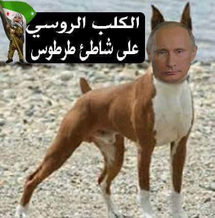 Швейцария станет посредником между Ираном и Саудовской Аравией, - DW - Цензор.НЕТ 1932