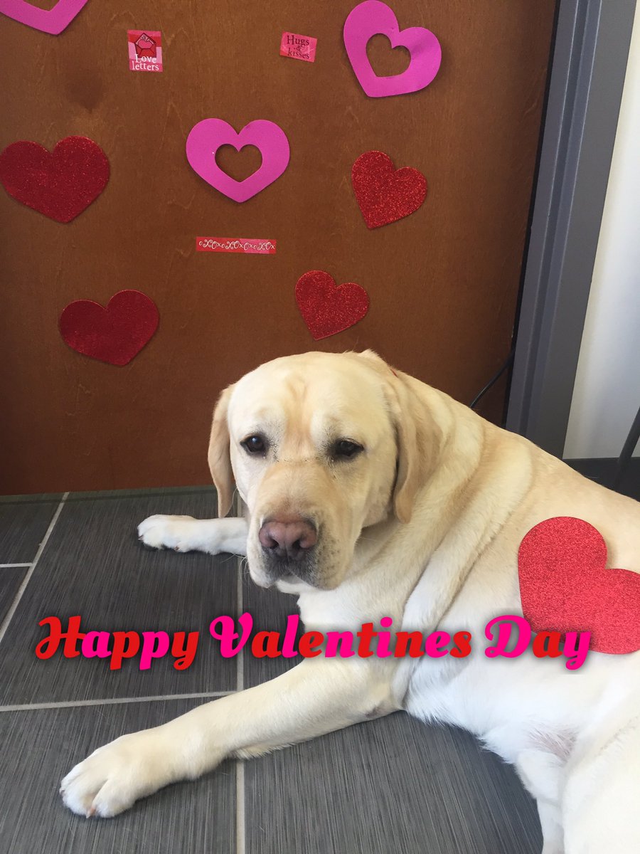 BmoreWaterTaxi's tweet photo. Happy Valentine's Day from all of us at @BmoreWaterTaxi #valentinesday #bmorewatertaxi #timberbwt https://t.co/mCohTII5Ap