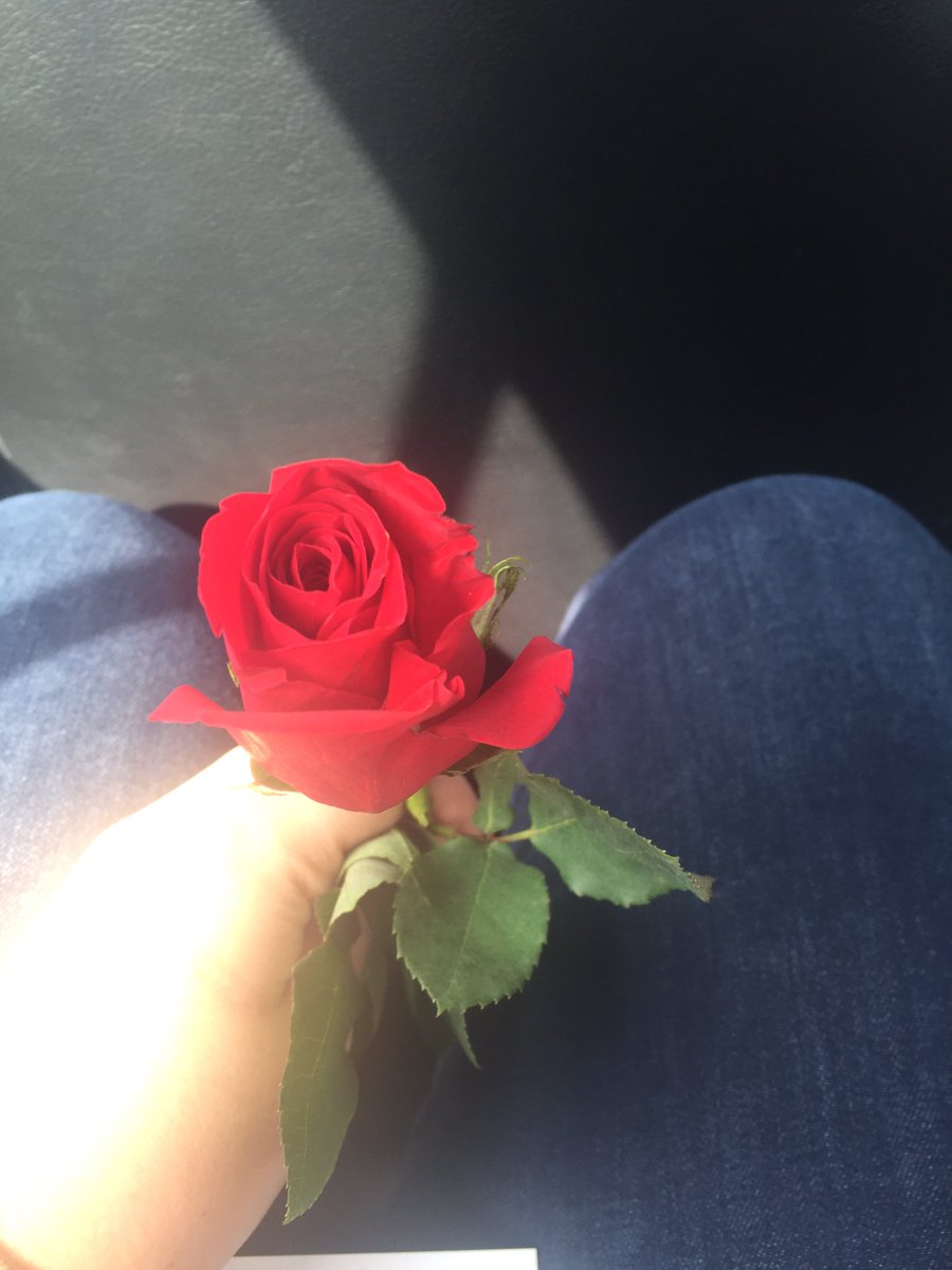 LMays_ATX's tweet photo. Valentine's made even more special by #uberroses https://t.co/X0PwWg5xSl