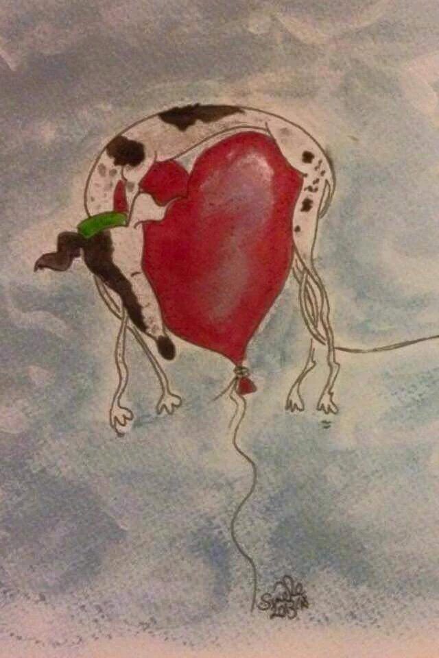 spuddiewhippet's tweet image. Happy valentines everybody. @samsBellabob @Amadeusivan @WinstonWhippet @LennytheLurcher @MoolieLu @heffsvoice