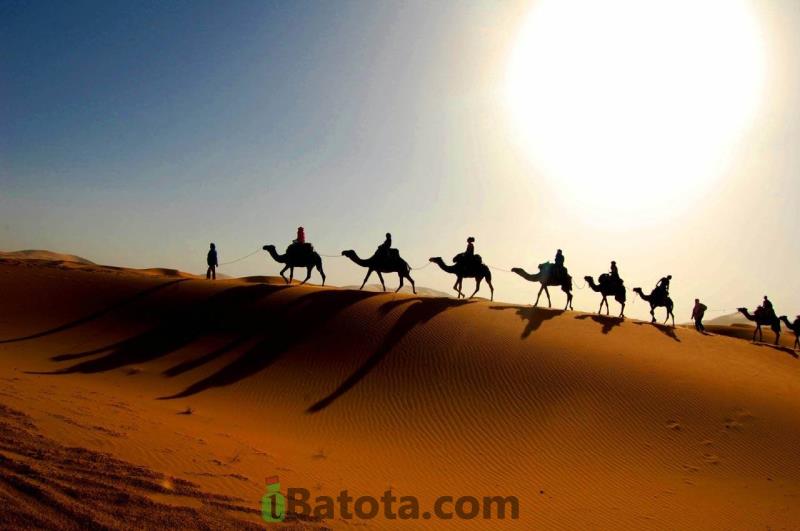 ibatota1's tweet photo. #Merzouga a must visit place in the Sahara when #traveling to #Morocco. #travel #Photos https://t.co/kXaPNnGdT3