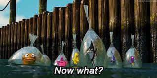 hhs_raidasias's tweet photo. All the seniors rn https://t.co/Xbhvl2r65Z