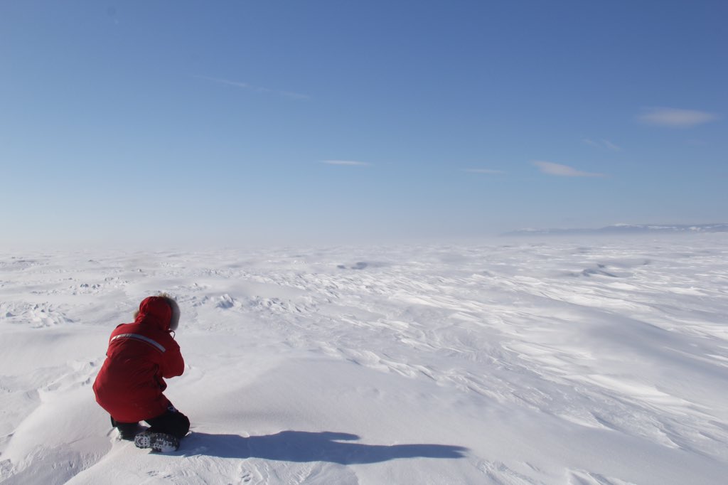 AshleeCunsolo's tweet image. These two folks are incredible grad students &amp;amp; human beings. @_asawatzky @_ocook #polarpeeps cc @thedangillis