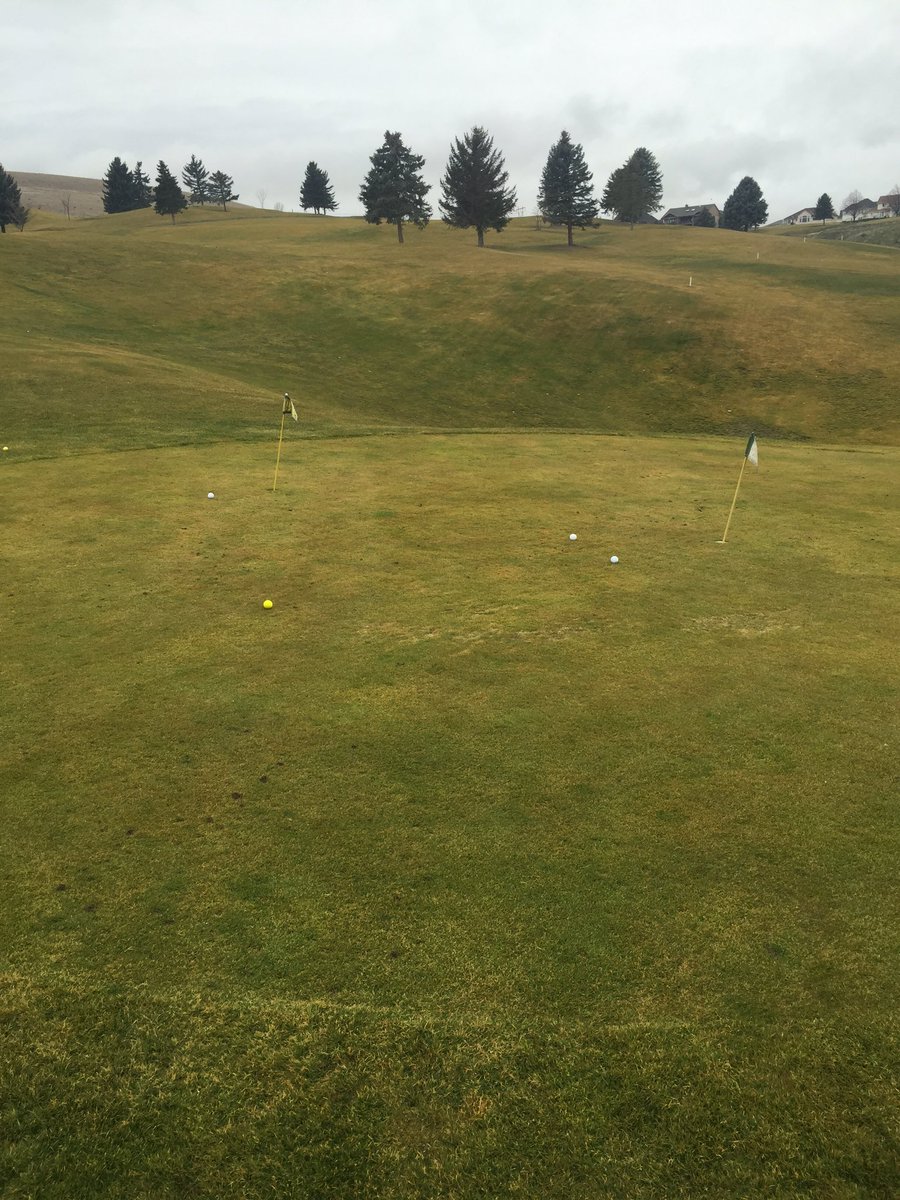 joeylines_11's tweet image. You only get better if you practice right? #pitchingpractice