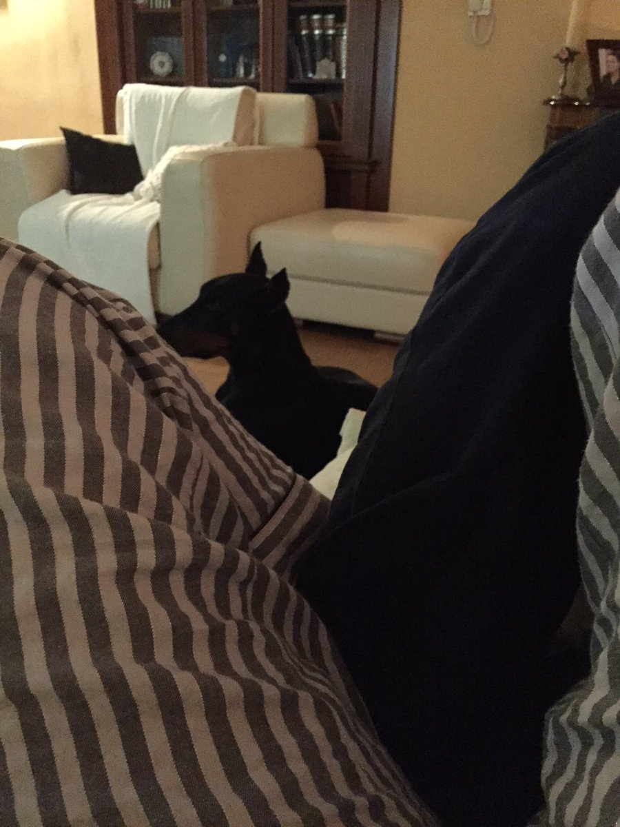 Miss__A's tweet photo. Perfect lazy day w my boys 😍 https://t.co/1kRghw5ANr