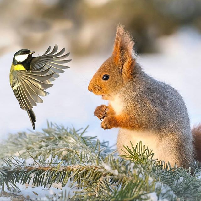 randomgrounds's tweet image. buff.ly/1NY29Vq