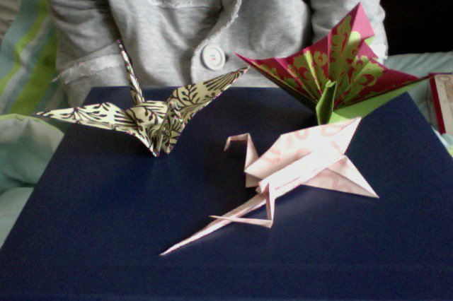 Geetzometry's tweet photo. I've got a veritable paper menagerie! Only a few left before I put them all together in a mobile :) #origami https://t.co/rs41oEsaXf