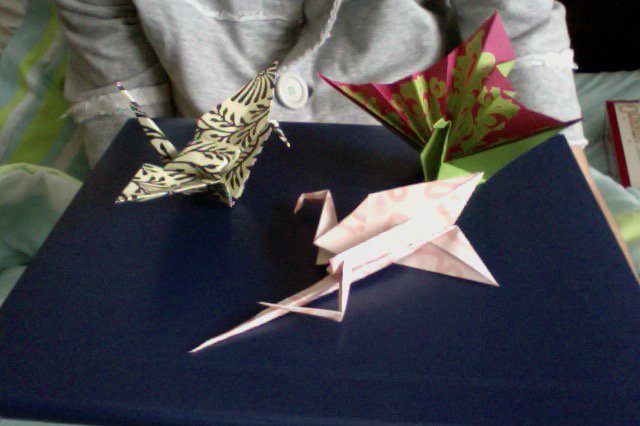 Geetzometry's tweet photo. I've got a veritable paper menagerie! Only a few left before I put them all together in a mobile :) #origami https://t.co/rs41oEsaXf