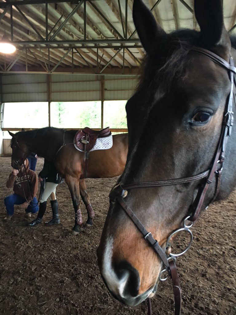 Spending Valentine's Day with Bae #ihsashows #collegelove