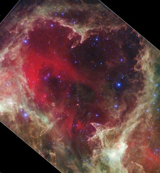 AwakeFree tweet media