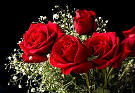 DoubleJB07's tweet photo. @AgentTarantiano Happy Valentine's Day, so you don't try to kill me or anything. https://t.co/S660MBDR6L