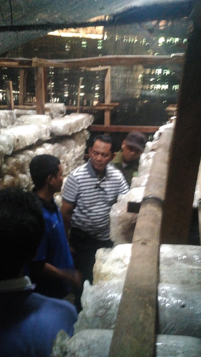 Pemuda yg membngun desany mllui ush pmbibitn jmur tiram putih dg omzet 6jt/bln yg mlibatkn wrga sktr <a href="/ganjarpranowo/">Ganjar Pranowo</a>