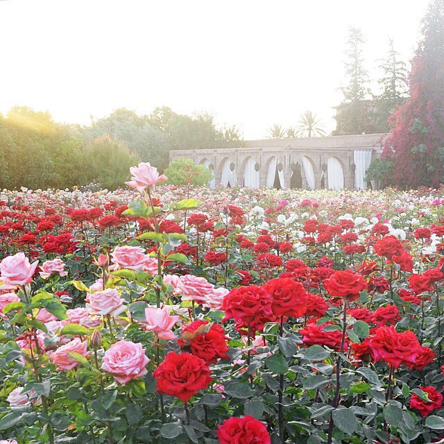 mrTRAVEL2DAY's tweet image. 