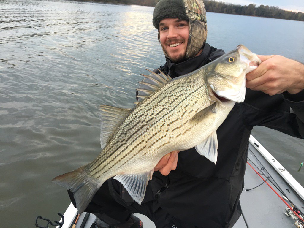 TravisBettis's tweet photo. Percy priest https://t.co/GQ7e6cnCjJ