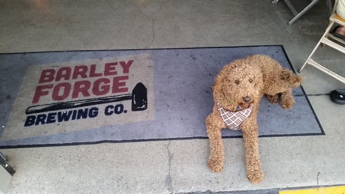NielsenMktg's tweet image. Celebrating with some puppy love on #ValentinesDay at @BarleyForge 

#PupsNPints