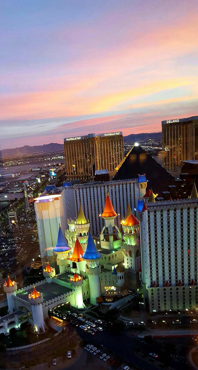 Rhonda Pilkington tweet media