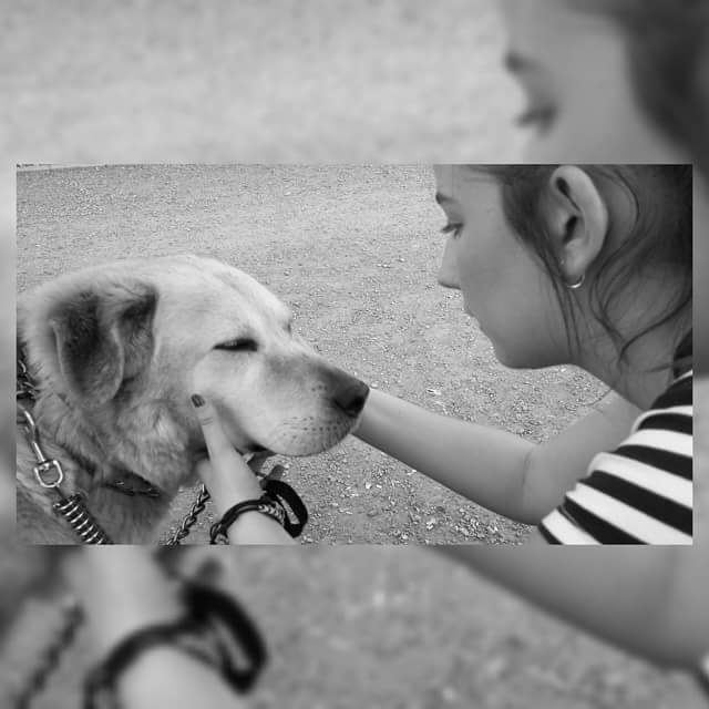 loubm09's tweet photo. #QuieroMasAMiPerro que a mi vida ❤🐶 https://t.co/oPUdfjX4NM