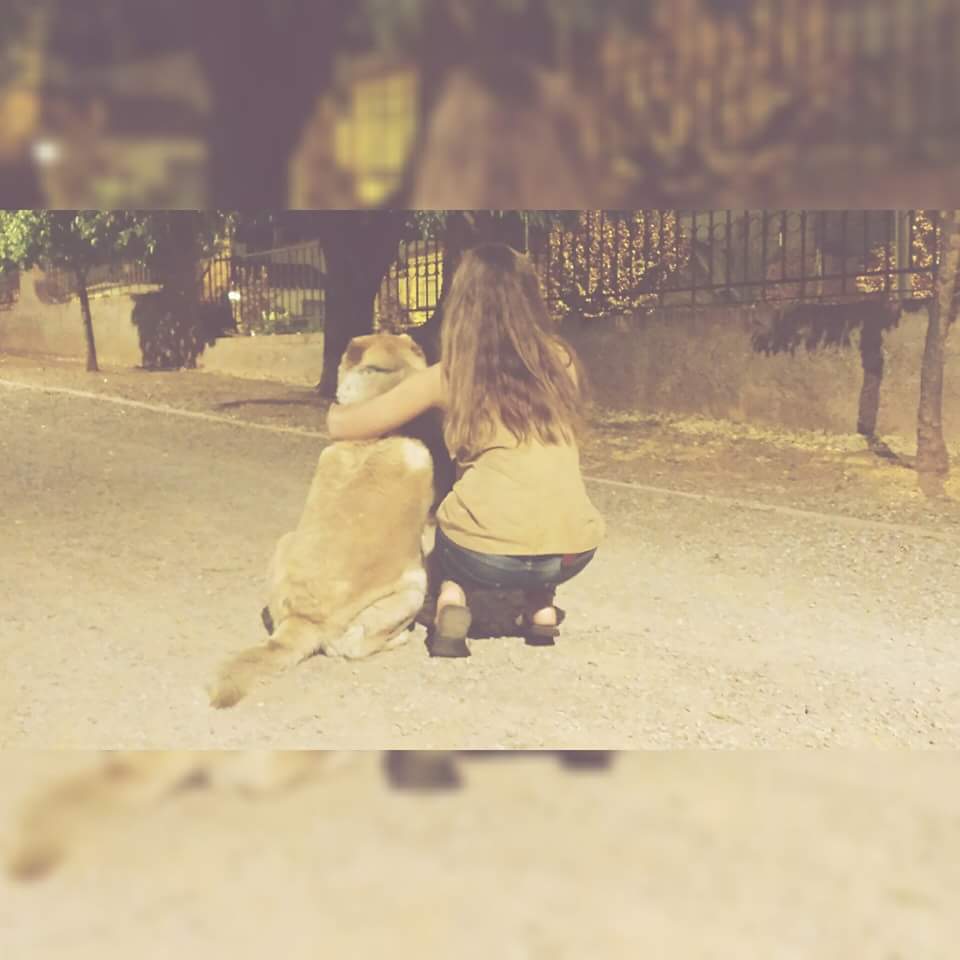 loubm09's tweet photo. #QuieroMasAMiPerro que lo que él pueda llegar a quererme https://t.co/RuzffS1H13