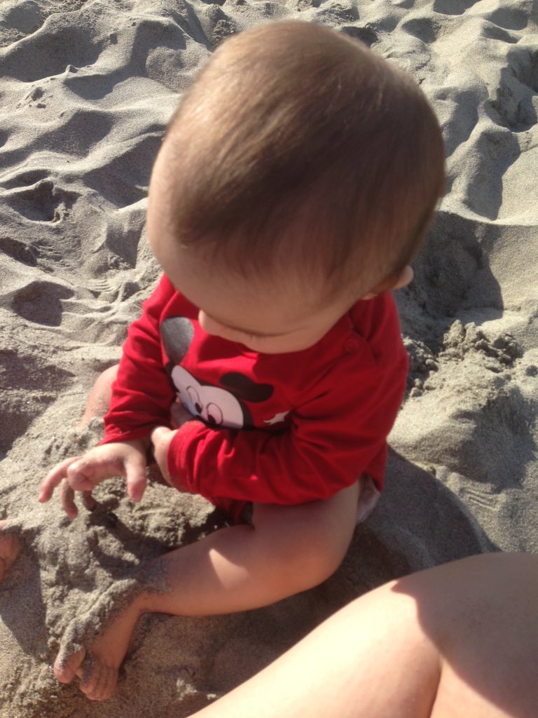 Sbrowningxoxo's tweet photo. Pumpkins first time at the beach❤️💌 https://t.co/GCVVA8Eeaw