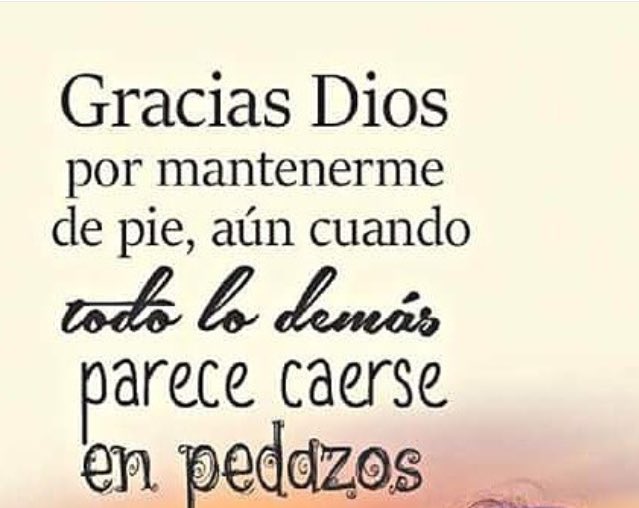 Jesus Alcala tweet media