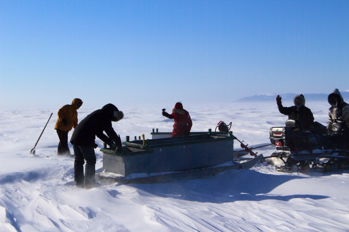 _asawatzky's tweet image. #SnowbodyBetter than my #PolarPeeps :) @CunsoloWillox @thedangillis @_ocook