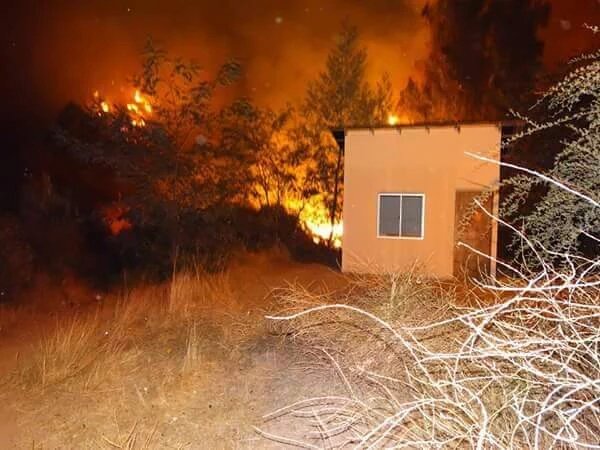 BomberosdeChile's tweet photo. A esta hora Bomberos trabaja en incendio forestal comuna de Pichidegua Reg. de  Ohiggins https://t.co/ypESdumWPR
