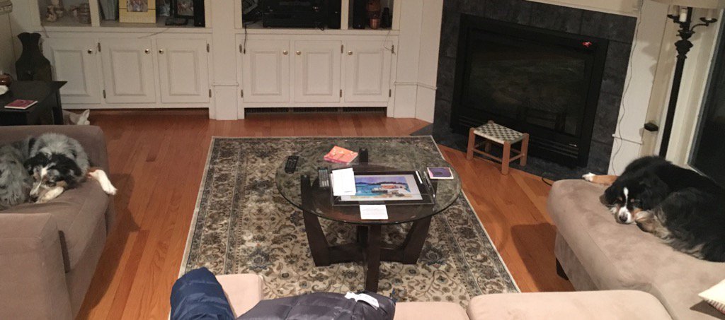 Late evening cillaxin #indigoandkodi