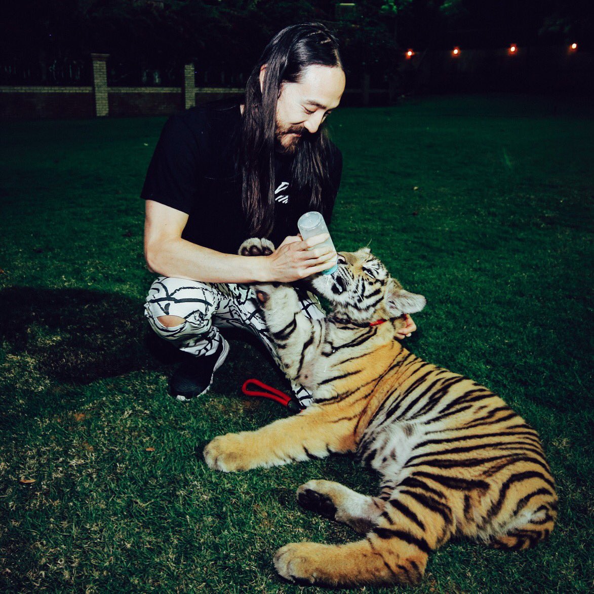 🐯 Bottle Service https://t.co/h55L4vpsSx