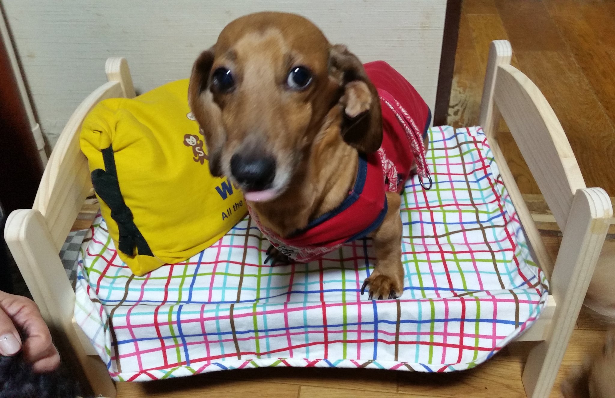 むうみん Ikeaの人形用ベッド 犬にも合うな T Co T7tj8njqmk Twitter