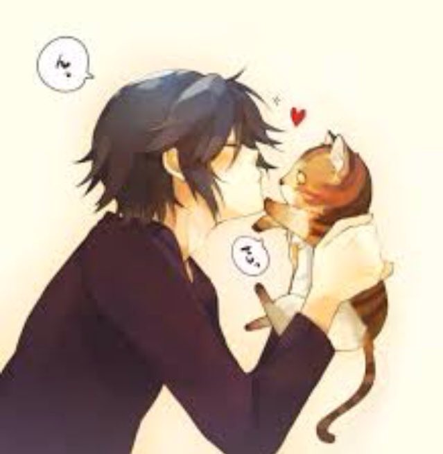 #OpenRP Minori grinned at the stray cat he had found, and kissed the tip of the cats nose. He had always adored —