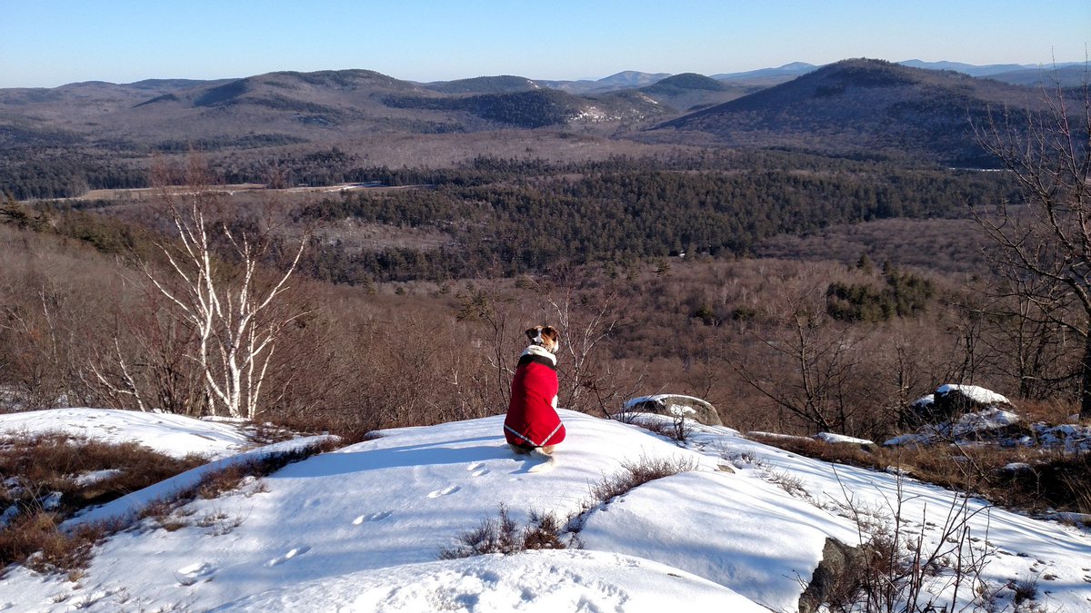 OffOnAdventure tweet picture